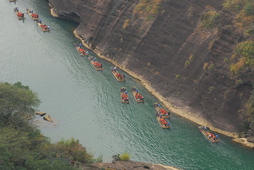 英语单词tree什么意思