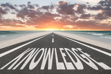 scientist英语怎么读