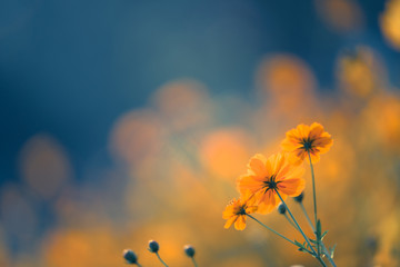 幼儿园大班冬季健康知识小常识