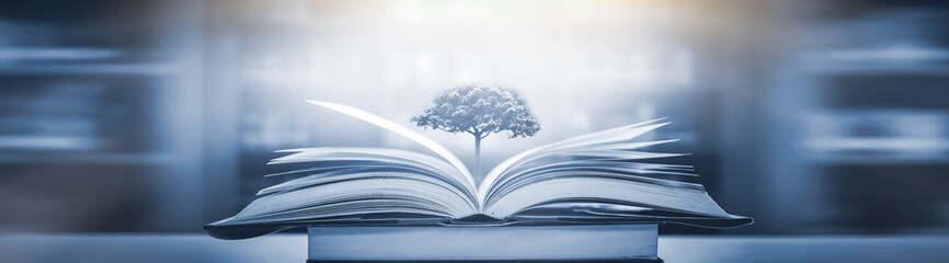 scientist英语怎么读