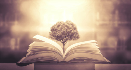 中国从古至今有多少个朝代-