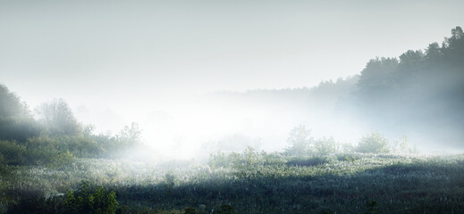 英语单词tree什么意思