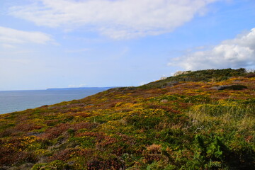 scientist英语怎么读