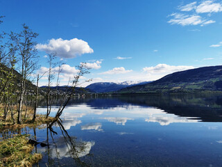 100句英语句子（谚语和名言一共一百句）<带中文翻译>