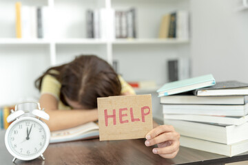 中国最著名的十大书籍