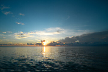 英语单词tree什么意思