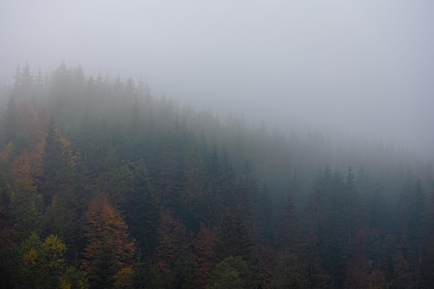 中国从古至今有多少个朝代-