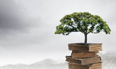 预防溺水安全知识宣传语合集