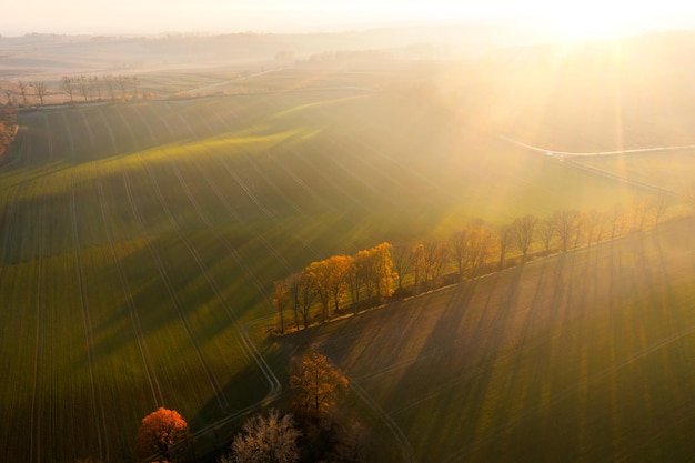 你爱的不是我,你心里还藏着谁,你爱的不是我,是否是我错了,是什么歌里的？