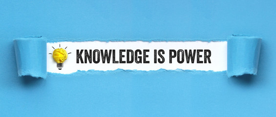 英语单词tree什么意思